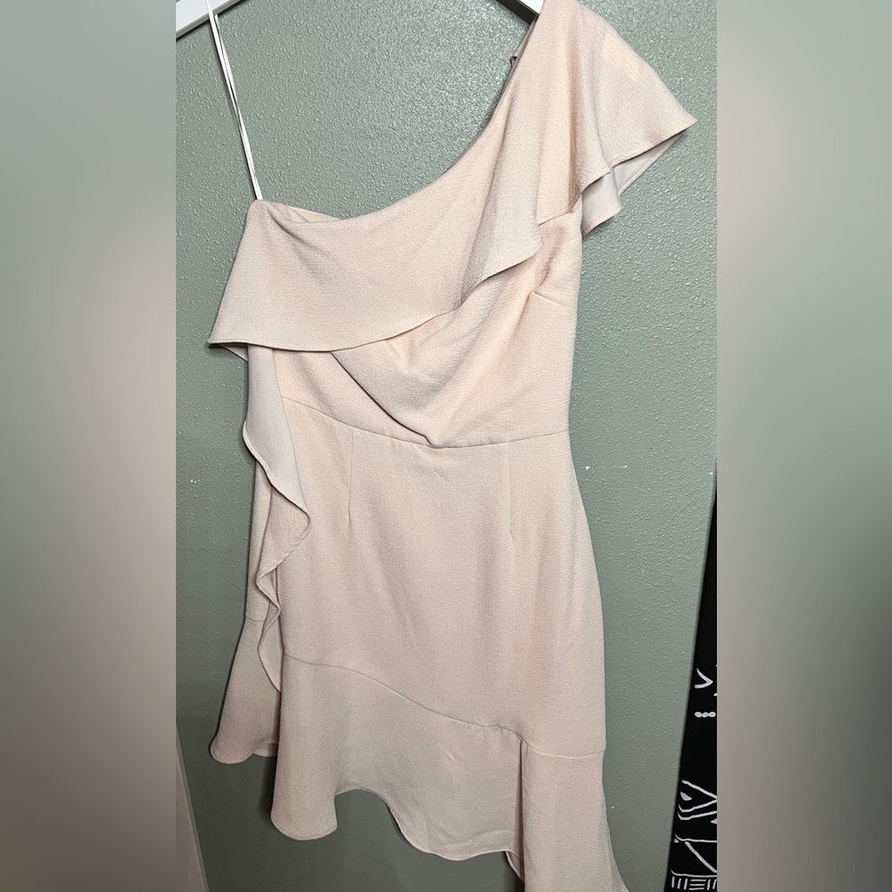 Adelyn Rae Asymmetric One Shoulder Ruffle Pink Blush Mini Dress XS